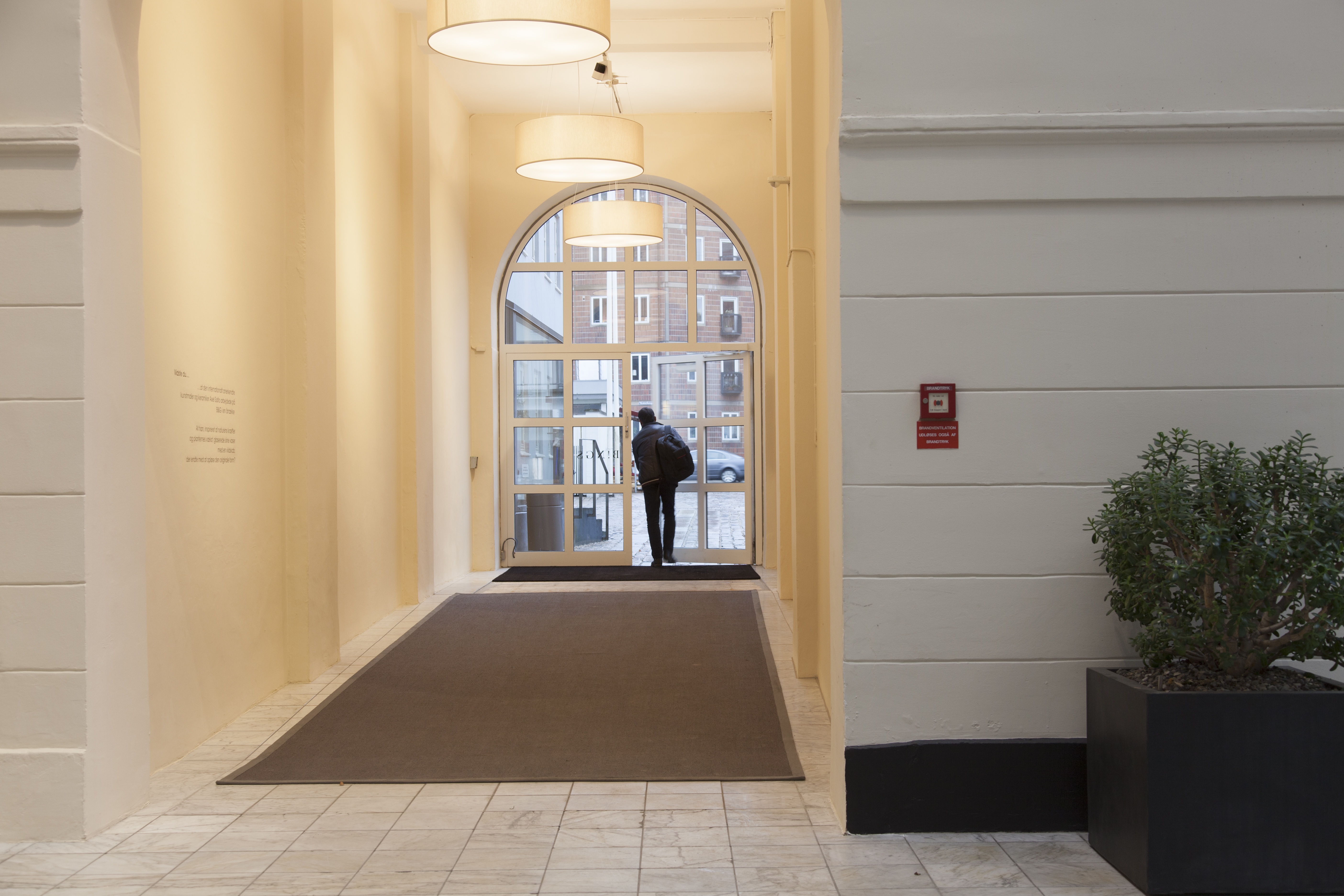 Bing, Mellau_4..afpassede tæpper, sisal